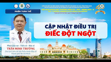 [2024] CẬP NHẬT ĐIỀU TRỊ ĐIẾC ĐỘT NGỘT - PGS TS BS Trần Minh Trường