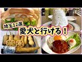 【埼玉グルメ】愛犬と行ける!春日部・岩槻・新都心ほか12選!GWおすすめ