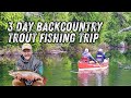 Backcountry brook trout fishing in algonquin  the search for giants