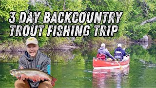 Backcountry Brook Trout Fishing in ALGONQUIN - The Search for GIANTS