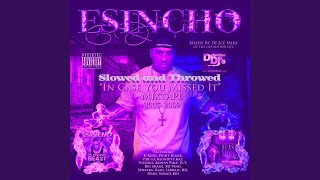 Drift (Slowed and Throwed) (feat. D-T & Synatra) - Esincho