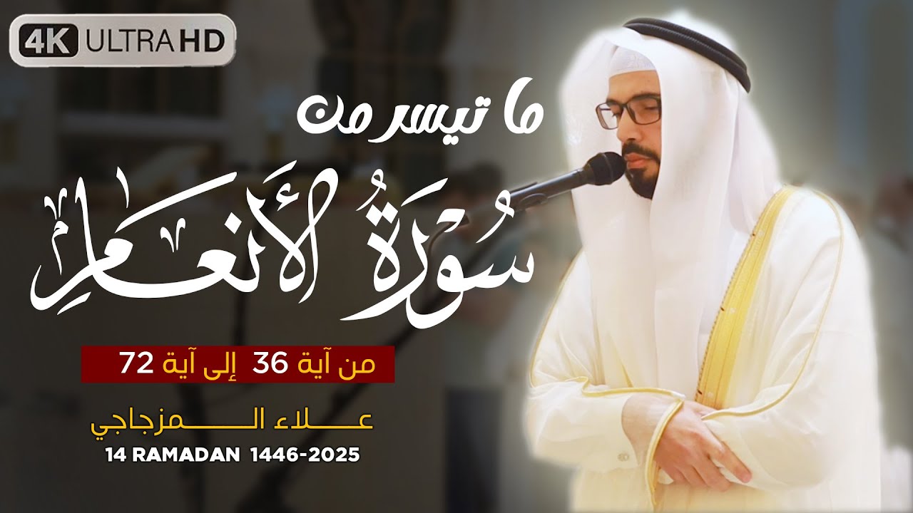 صلاة التراويح 14رمضان 1446 هـ | القارئ الشيخ علاء المزجاجي | جامع مدينة بدر 🕌
