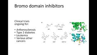 BY437 01/22 (3/5) - Histone acetylation readers