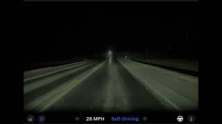 Tesla FSD 14.2.2.2 Avoiding Deer