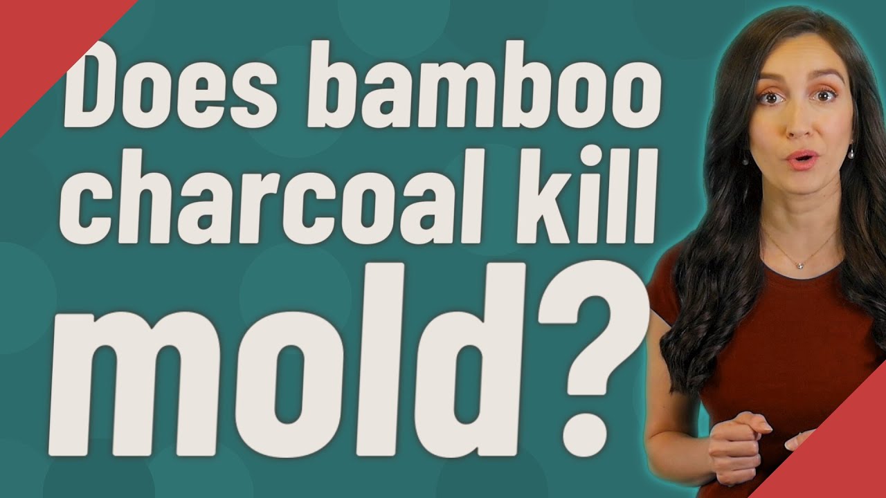 Does bamboo charcoal kill mold? YouTube