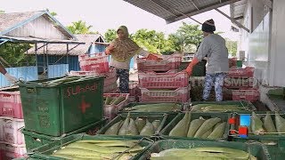 Harganya Mahal Di luar Negri, Ternyata Banyak Di Indonesia | Laptop Si Unyil (24/01/19) Part 3