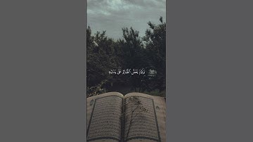 اكتب شيء تؤجر عليه#quran #اكسبلور#المصحف #قرآن #قران_كريم #راحة_نفسية #محمد_اللحيدان #سورة_الفرقان