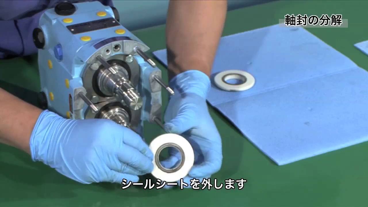 イワキ サニタリーロータリーポンプ Wru 分解編 Youtube