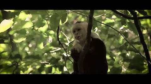 Video 20190626092912668 by videomaker