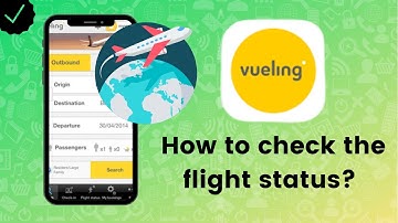 How to check the flight status using flight number in Vueling Airlines?