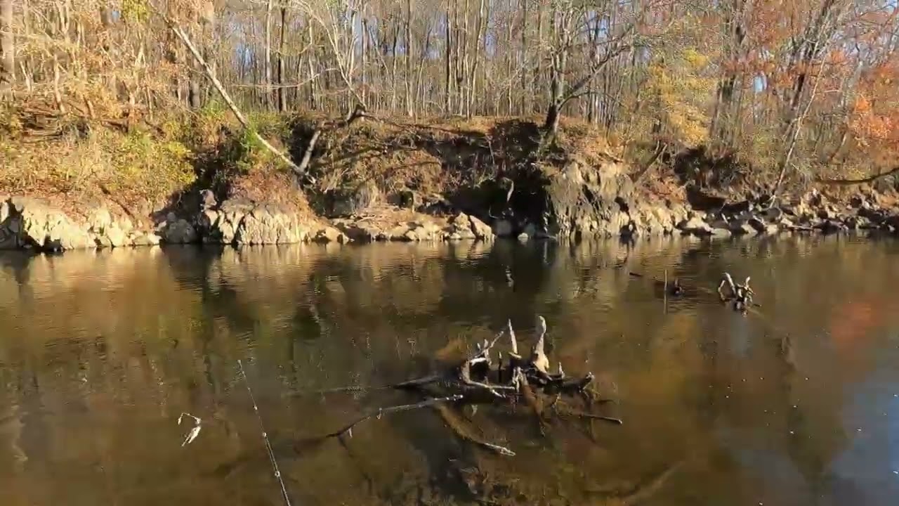 Cure For Cabin Fever” Bass Fishing Roanoke River, Weldon boat ramp, Rockfish Capital of the World.