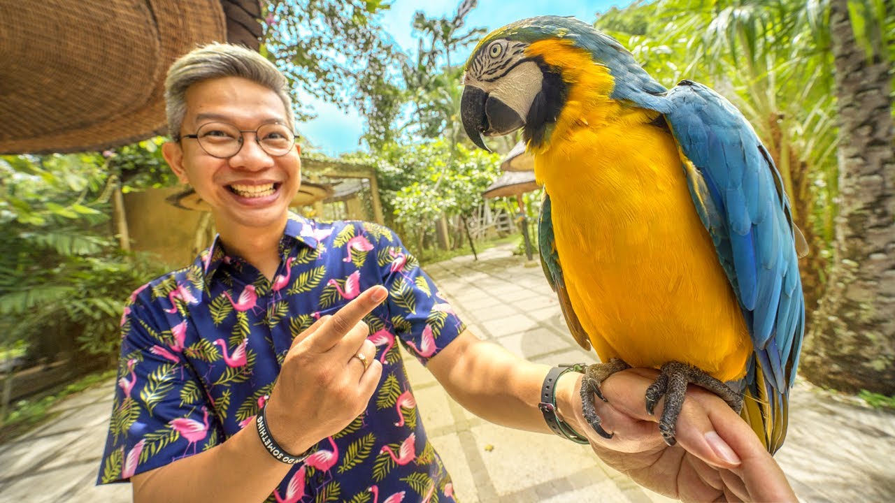 PEGANG BURUNG GEDE BANGET!!