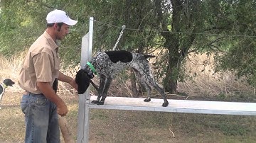 Trained Retrieve - Fetching A Pile Of Objects On The Table