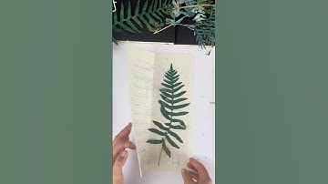 Sizzix Big Shot Printmaking Press | #botanicalprint for #junkjournal