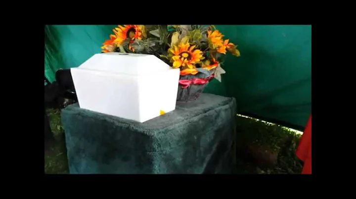Diana Barnes video of my Dad, Normand D. Barnes Sr...
