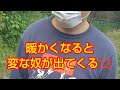 頭おかしい人とトラブル‼️