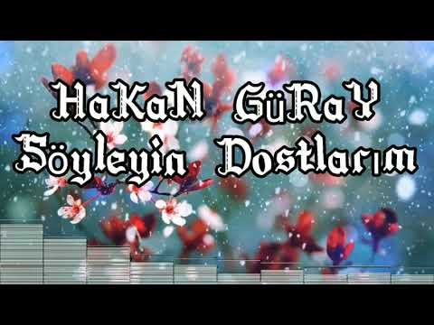 Hakan Güray - Söyleyin Dostlarım