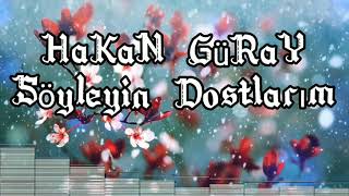 Hakan Güray - Söyleyin Dostlarım Resimi