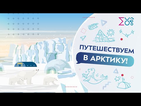 Путешествуем в Арктику | Мультфильм на московском образовательном