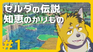 菅原トンボとゼルダの伝説 知恵のかりもの
