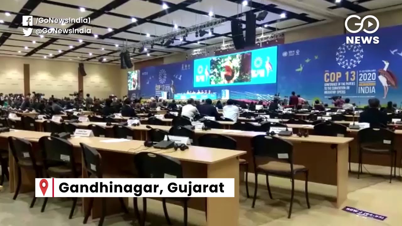 Poor Delegate Attendance At CMS COP13