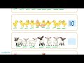 Counting Animals Quiz