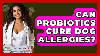 Can Probiotics Cure Dog Allergies? - Ask A Pet Vet