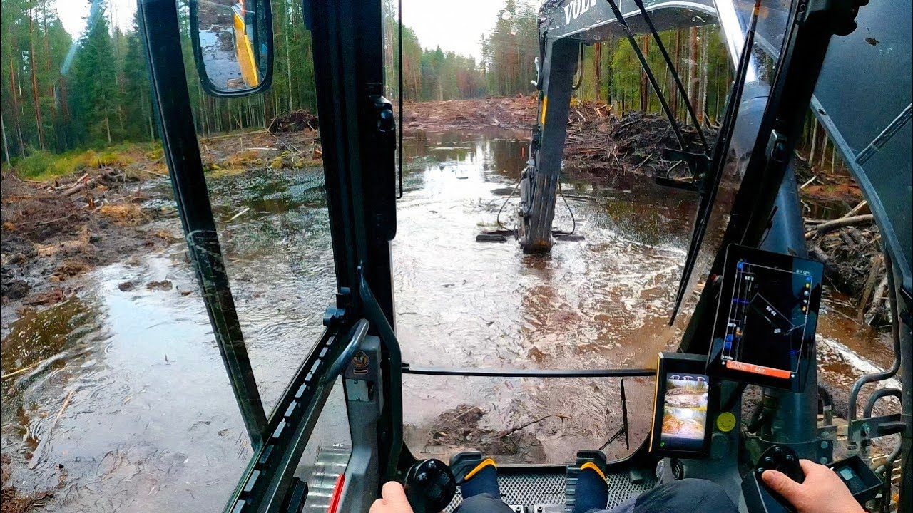 Наконец лесная дорога