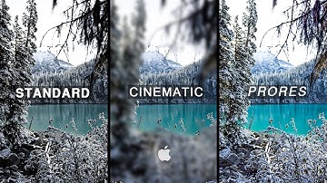 iPhone Pro ProRes vs Standard vs Cinematic l Camera Comparison