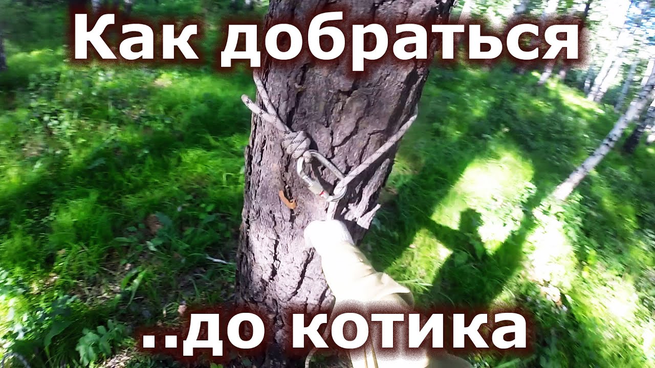 Палка-выручалка - установка верёвки на ствол дерева - YouTube