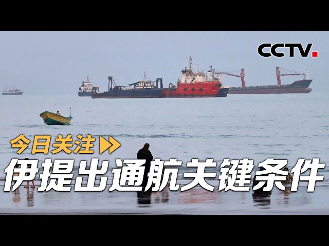 今日关注