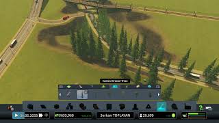 Cities: Skylines NDNG
