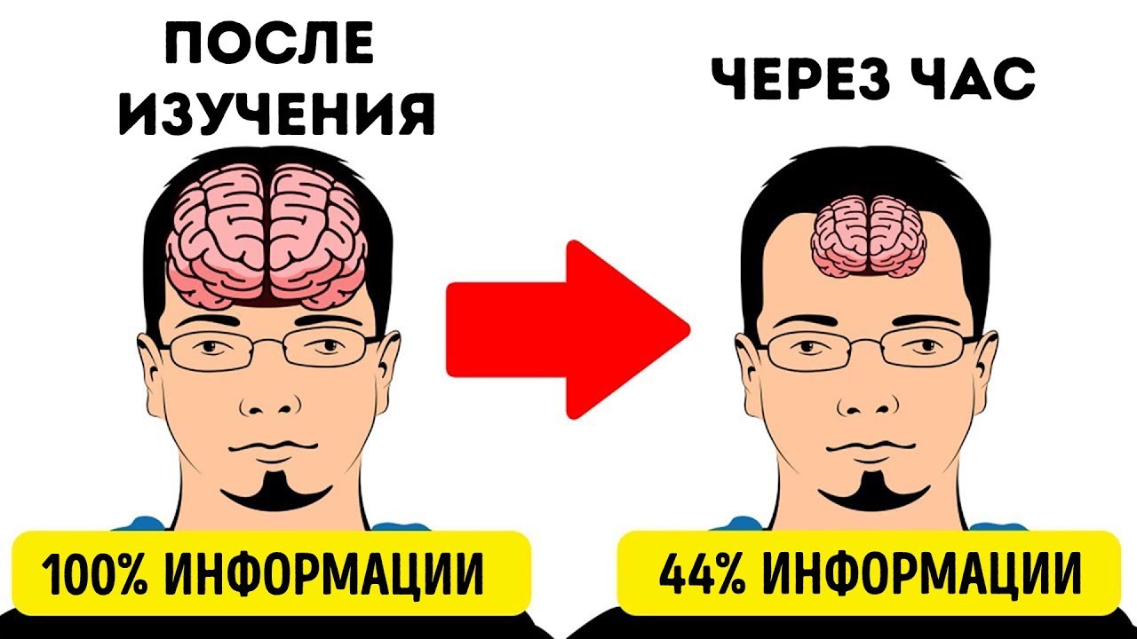 11 Секретов, Чтобы Запоминать Все Быстрее Остальных