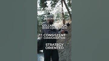 Here are the five core values that drive my business...