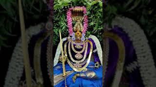 மாரியம்மன்| அழகிய சோழ நங்கை அம்மனின் வேப்பிலை அலங்காரம்| அம்மன்| shorts| nanjil