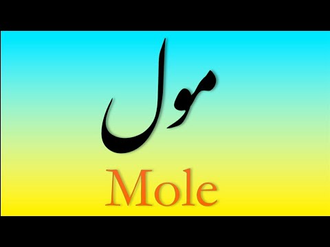 آموزش مبحث مول || مول چیست و به چه معنی است؟ + زیرنویس فارسی