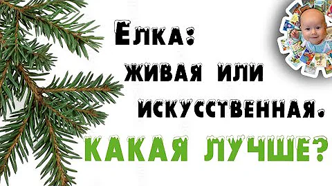 Искусственная или живая елка? Какую выбрать? Какая елка лучше? Почему живая елка лучше искусственной