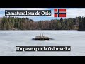 Un paseo en Semana Santa por los bosques de Oslo🇧🇻