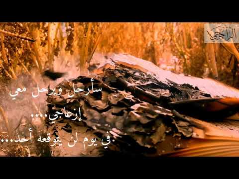 حالات واتس اب المعلم العربي