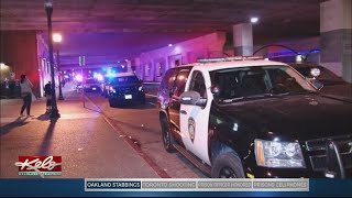 Police Arrest Suspect In Oakland Train Station Stabbing
