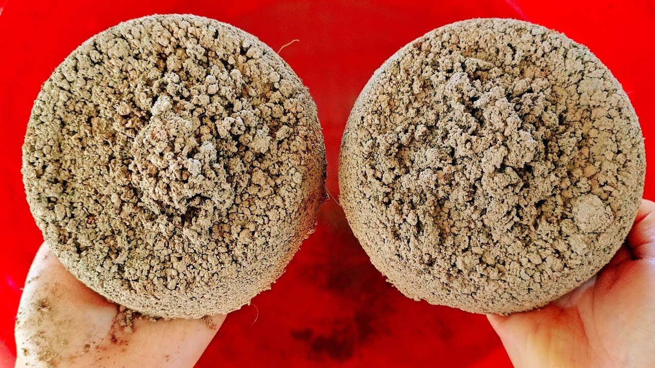 👉 New Finally Internet Is Restored Full Dipping Soaking Bowls Gritty Red Dirt Full Tub Crumbling😴 