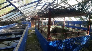 Abandoned Aquarium Pet Store: Loads Of Fish Tanks Found