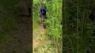 Marin Bike Rift Zone