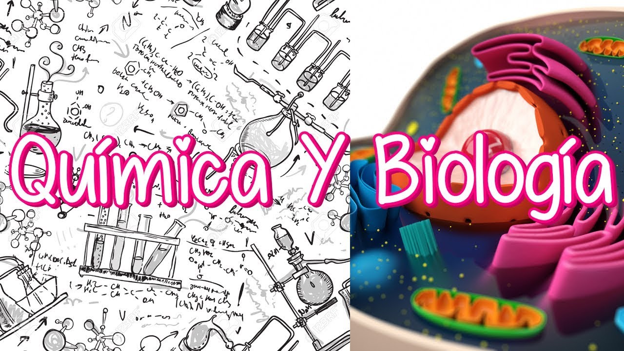 maxresdefault - Biología, Química y Bioquímica Biblioteca Temática