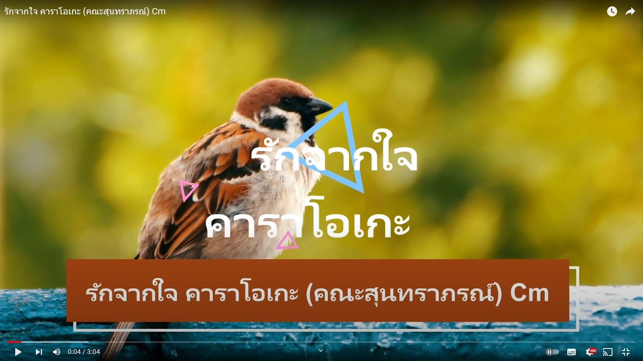 รักจากใจ คาราโอเกะ (คณะสุนทราภรณ์) Cm