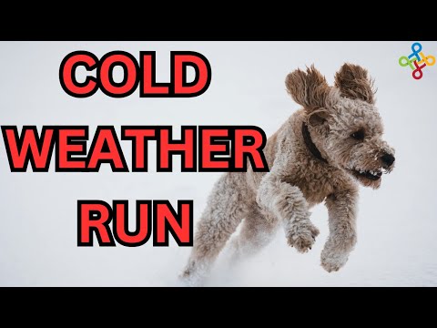 Cold Weather Running Tips Stay Warm & Safe