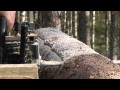 Moottorisahan käyttövinkki Sawing logs with a chainsaw.