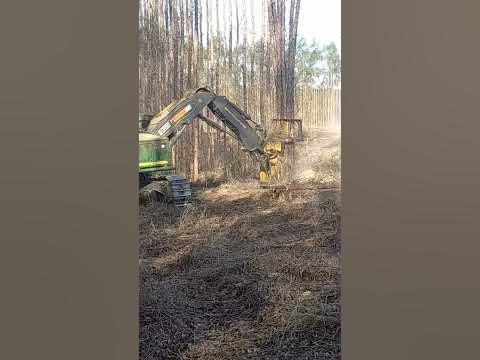 Feller buncher 903M - YouTube