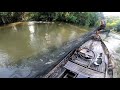 Kucing Laut , Bosen Ikan