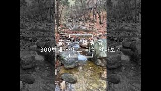 곡성 꿈꾸는 캠핑장ㅣ전남 캠핑장ㅣ아이들을 위한 캠핑장ㅣ계곡 캠핑장ㅣ300번대 사이트 소개ㅣ